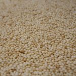 Novamont_Granuli-vegetali-Mater-Bi-1
