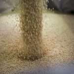 Novamont_Granuli-vegetali-Mater-Bi-2